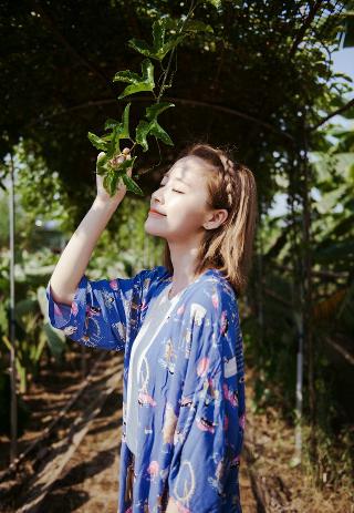 女教师在上免费观看全集电视剧